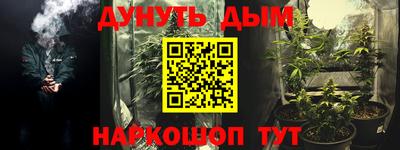 тгк Новозыбков