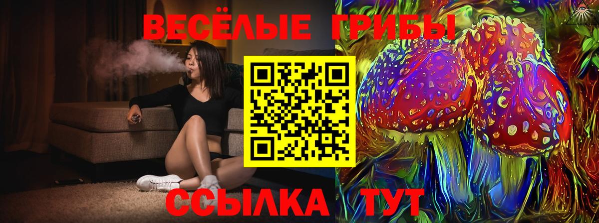 Псилоцибиновые грибы Psilocybe  Вход с VPN  Псилоцибиновые грибы мицелий  Тихорецк 