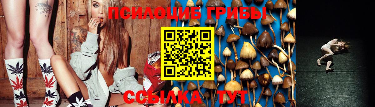 Галлюциногенные грибы Cubensis Тихорецк